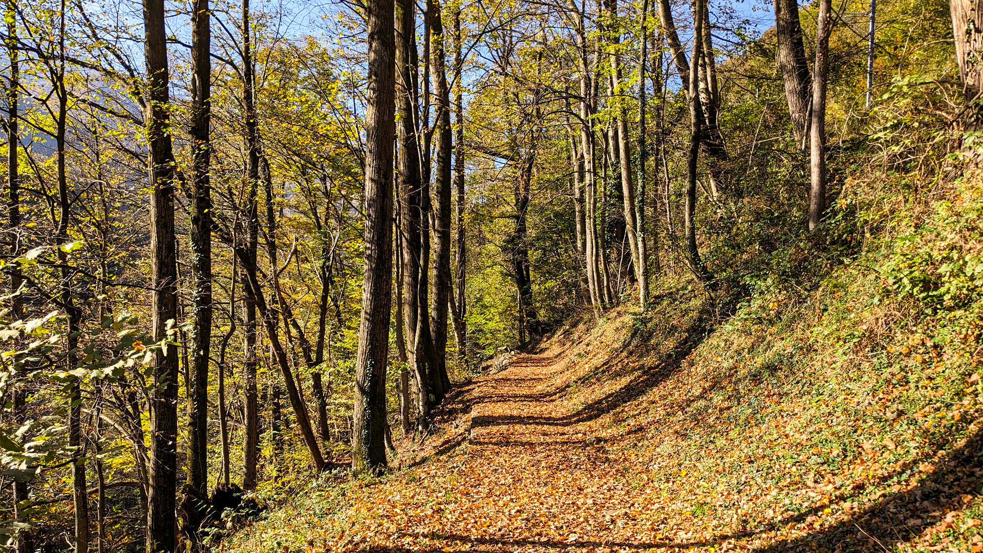 foliage trekking centovalli vigezzina, itinerarium